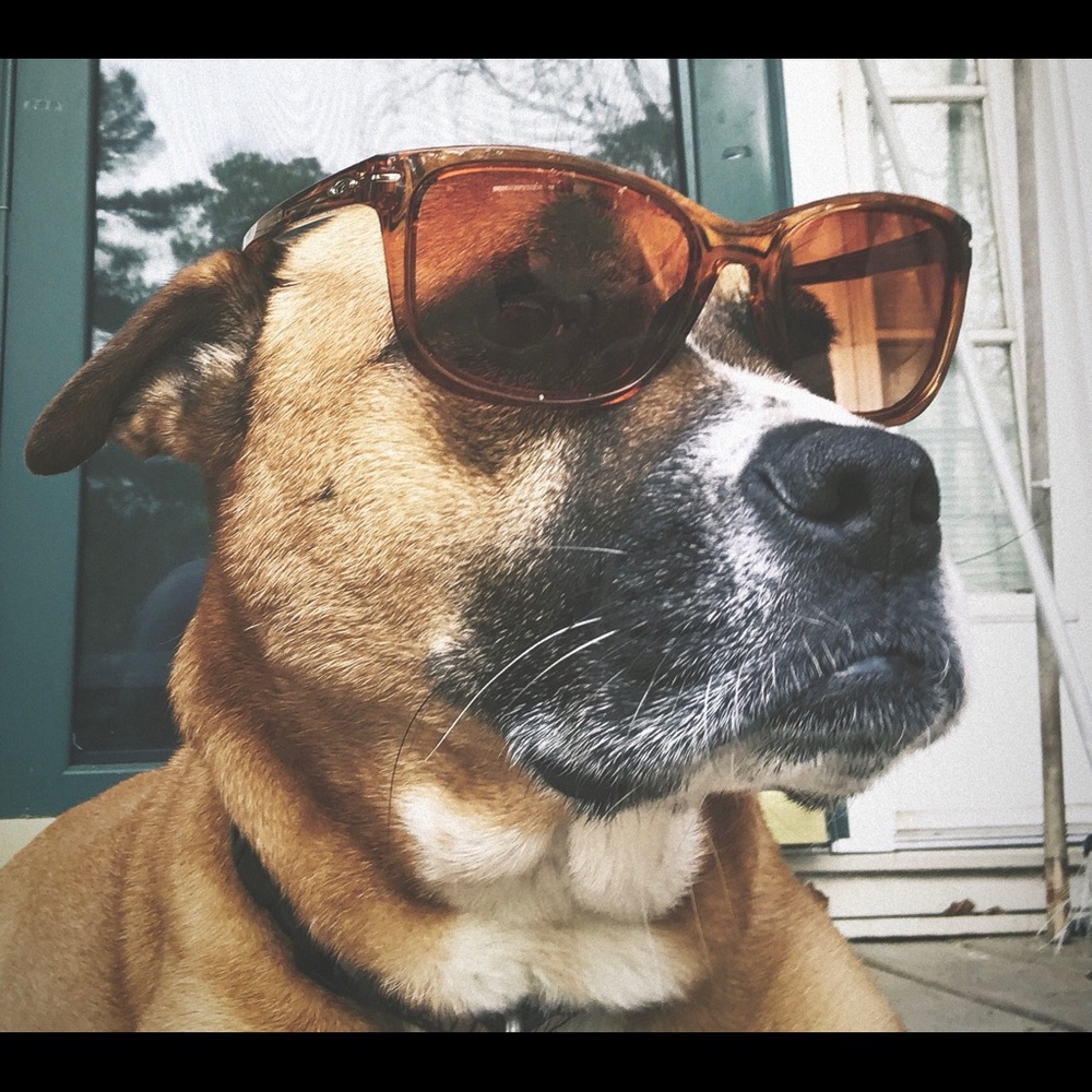 Meet your Posher, Mia